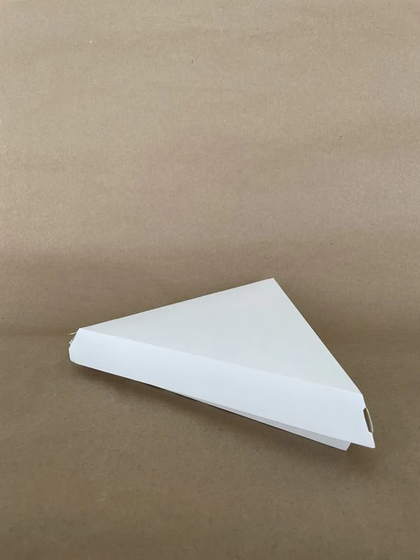 10" White Triangle Pizza Slice Clamshell 250cs - Disposable Take Away Food Packaging - Canadian Distribution