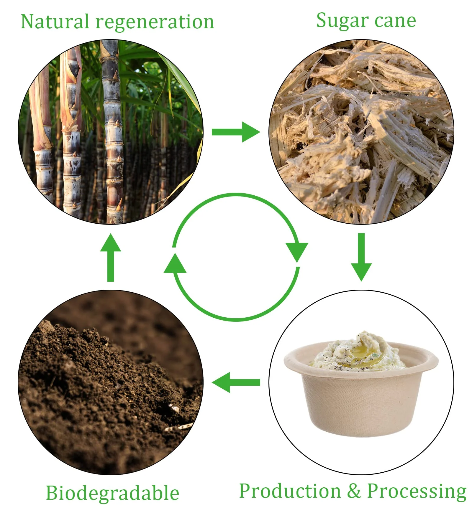 2 Oz Natural Bagasse Fiber Cups with Lids, 3 x 200 Pack - Paper Tasting Cups Disposable Sample Food cups Canada - Image 4