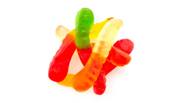 Albanese 2" Mini Gummy Worms - 20 LB Box - Premium Candies & Gummies - Ships Free Within Canada on Orders Above CAD $199