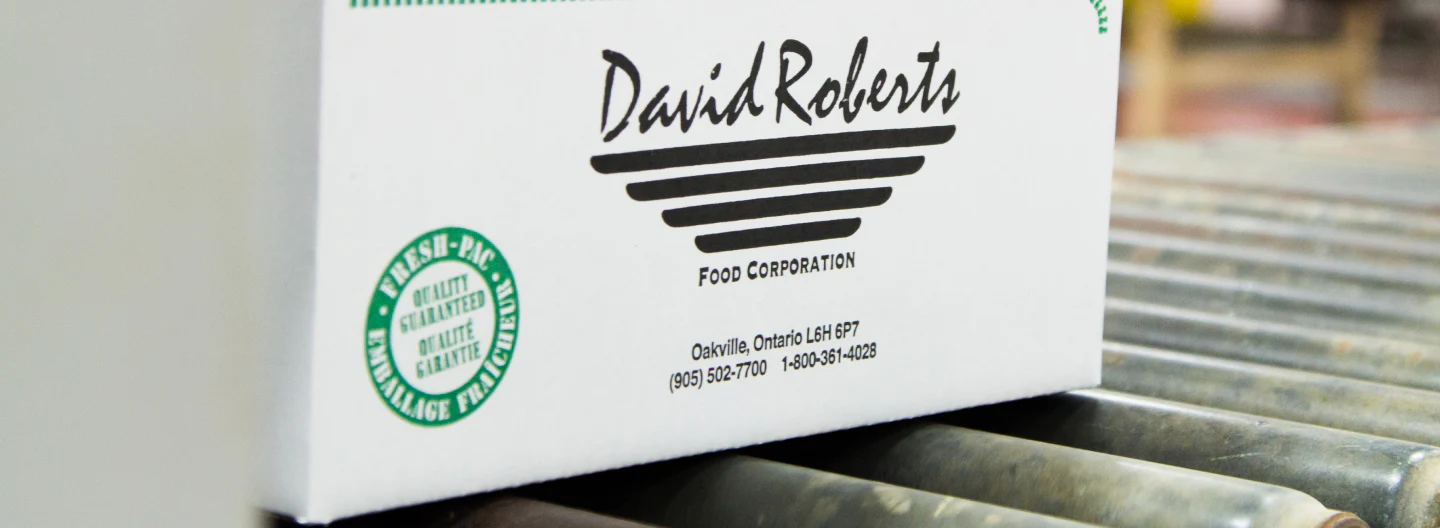 Baking Soda - Sodium Bicarbonate - David Roberts - 5 kg - Canadian Distribution - Ships Free Within Canada on Orders Above CAD $199 - Image 3