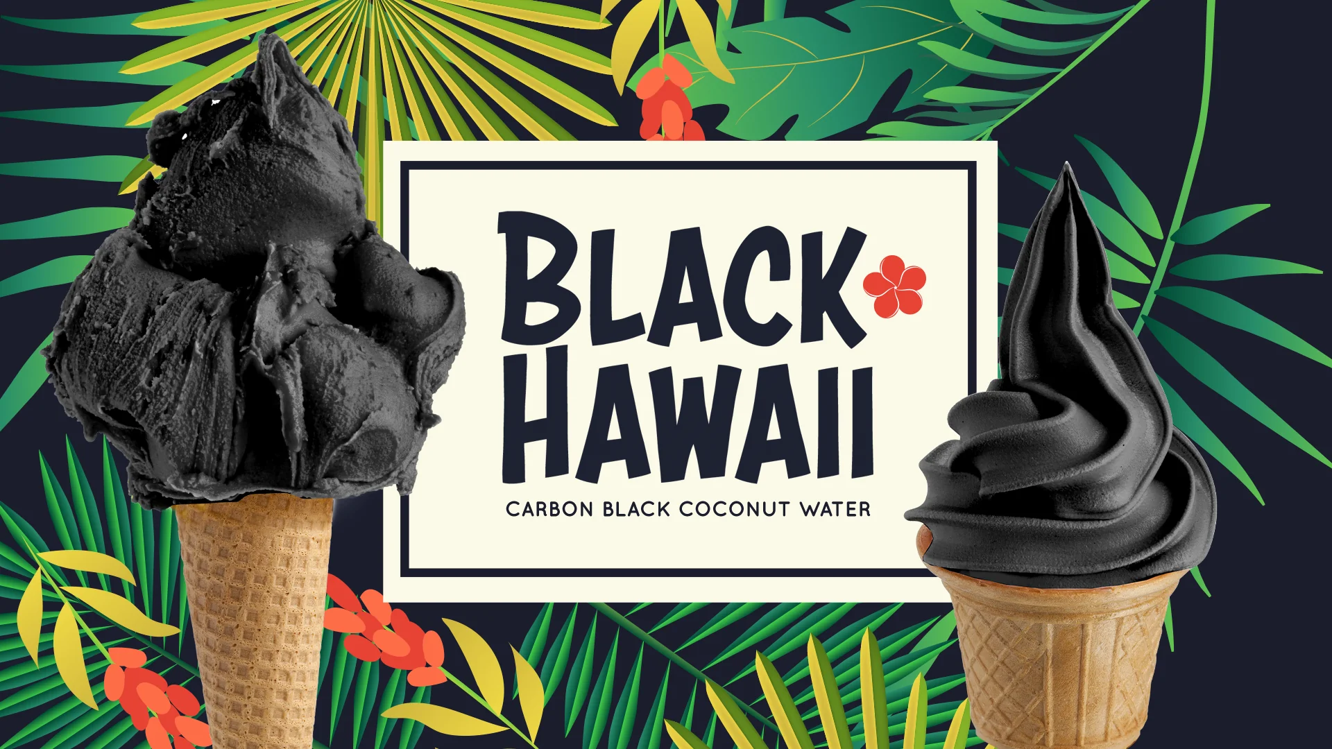 "PRE-ORDER" Black Hawaii Vegan Sugarfree Ready Base for Gelato & Soft Serve - Case of 8 x 1.45 KG bags - Rubicone Canada - Ships Free Within Canada on Orders Above CAD $199 - Image 5