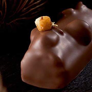 CACAO BARRY Hazelnut Praliné 50% - 5kg - Canadian Distribution - Ships Free Within Canada on Orders Above CAD $199 - Image 3