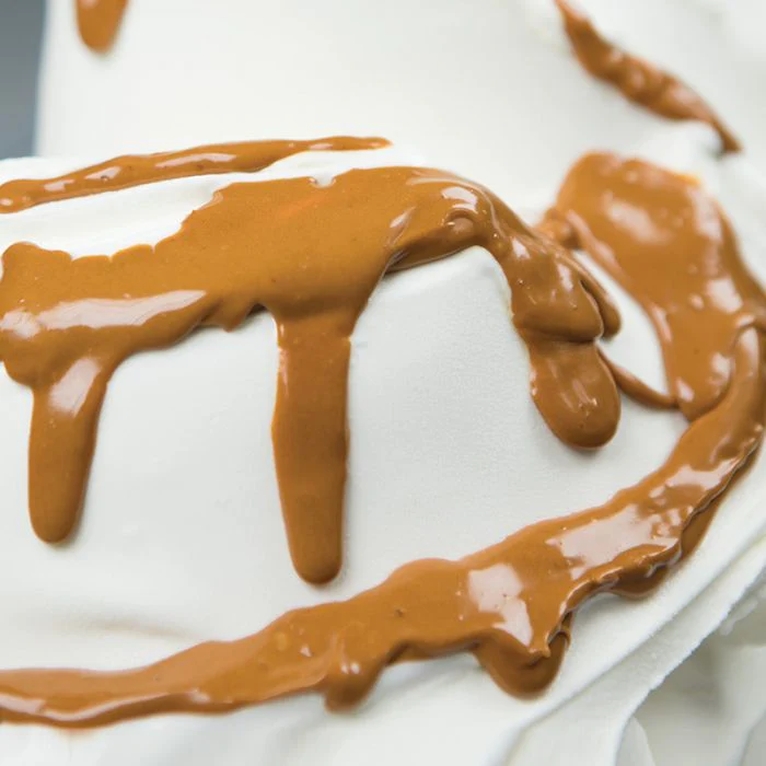 PreGel - Caramel Fleur de Sel (Caramel with Salt) Variegate (2 x 3kg Case) - Canadian Distribution - Ships Free Within Canada on Orders Above CAD $199 - Image 3
