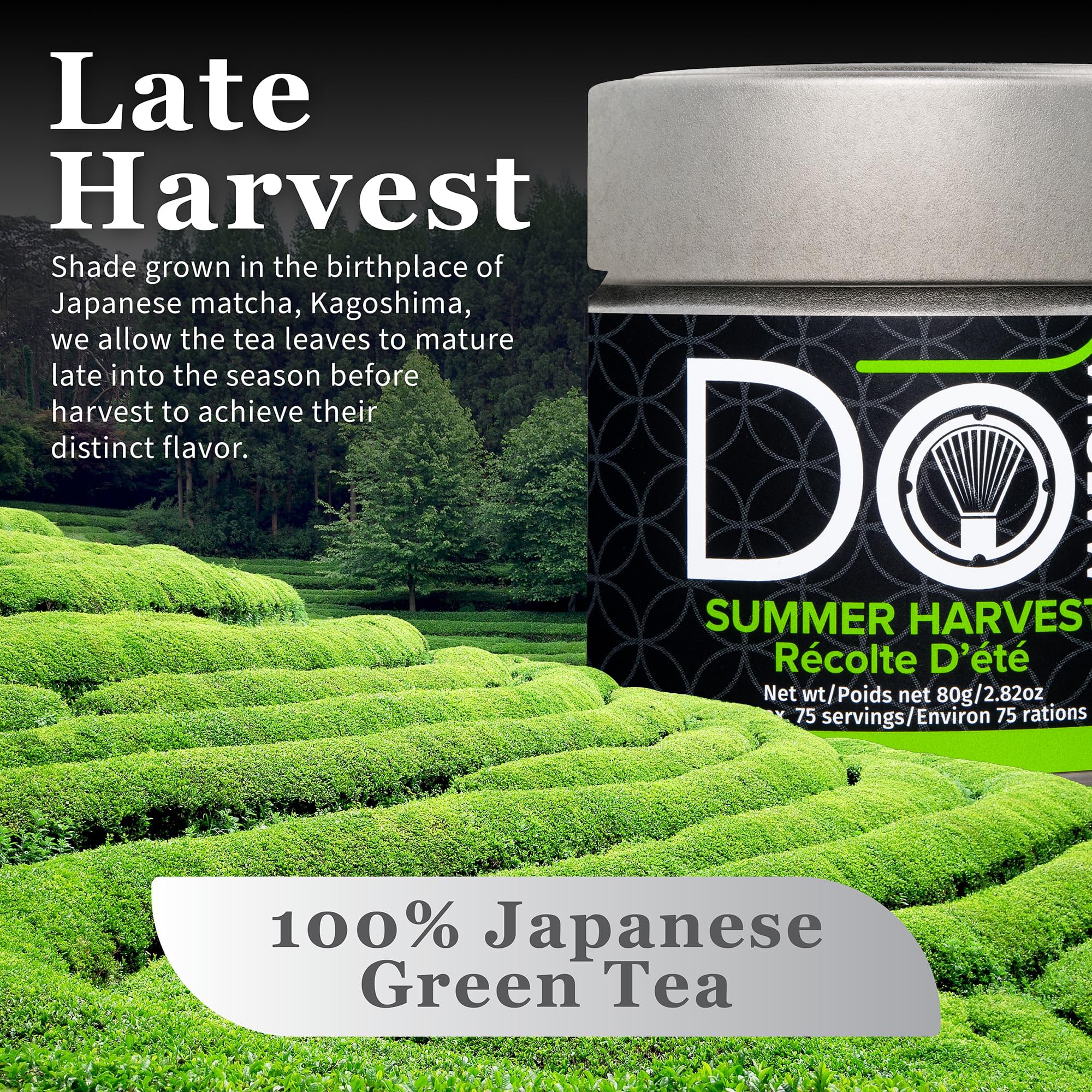DoMatcha – Summer Harvest Matcha – 80 g Tin – 75 Servings - Canadian Distribution - Ships Free Within Canada on Orders Above CAD $199 - Image 5
