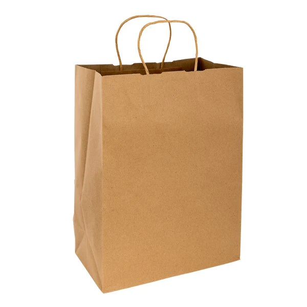Dorfin – Kraft Paper Shopping Bags #2 - Pack of 250 - Disposables, Restaurant Packaging and Take-Out Supplies - Canadian Distribution - Ships Free Within Canada on Orders Above CAD $199 - Image 2