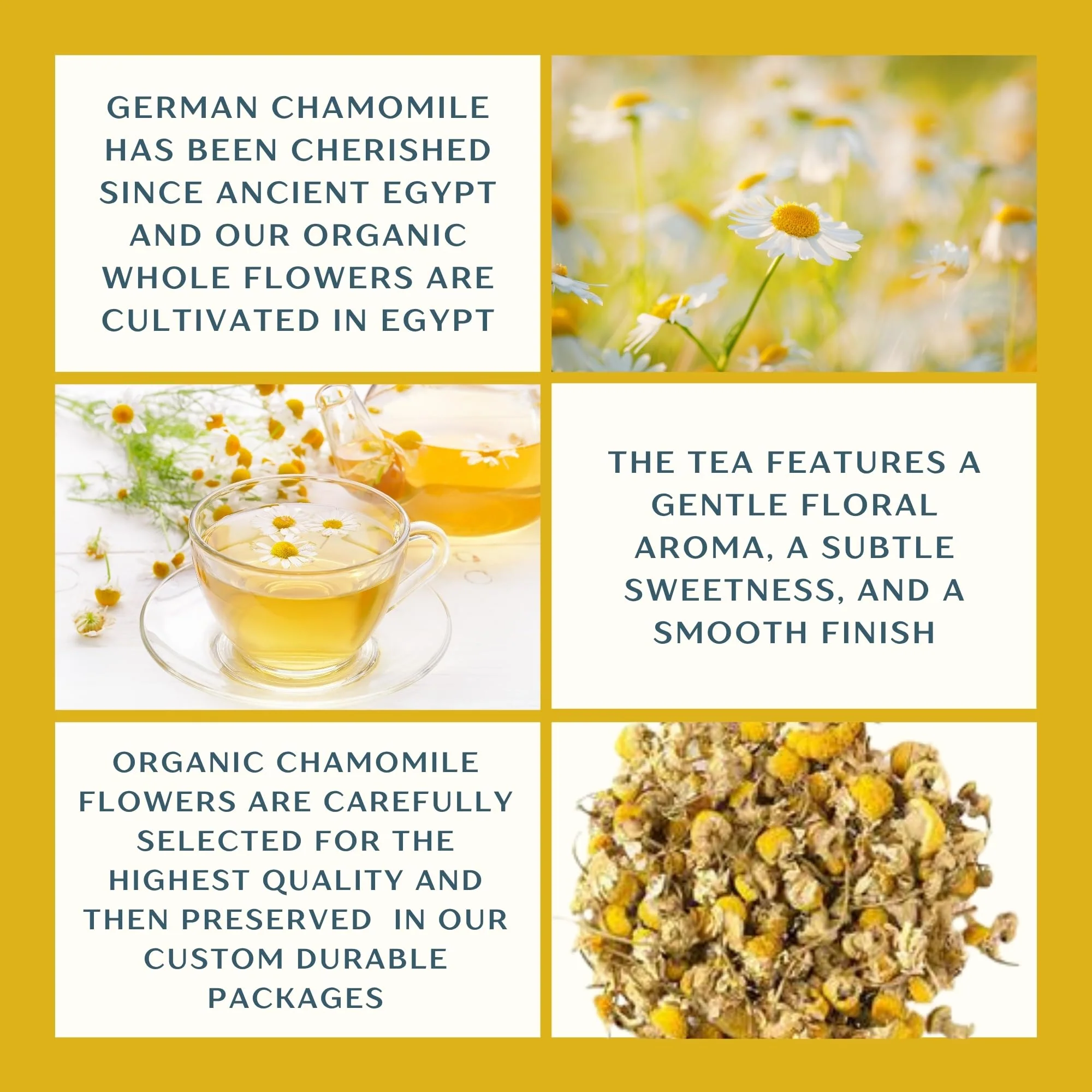 Dragonfly Herbs – Chamomile Tea – Organic Whole Flowers – 250g - Canadian Distribution - Ships Free Within Canada on Orders Above CAD $199 - Image 2