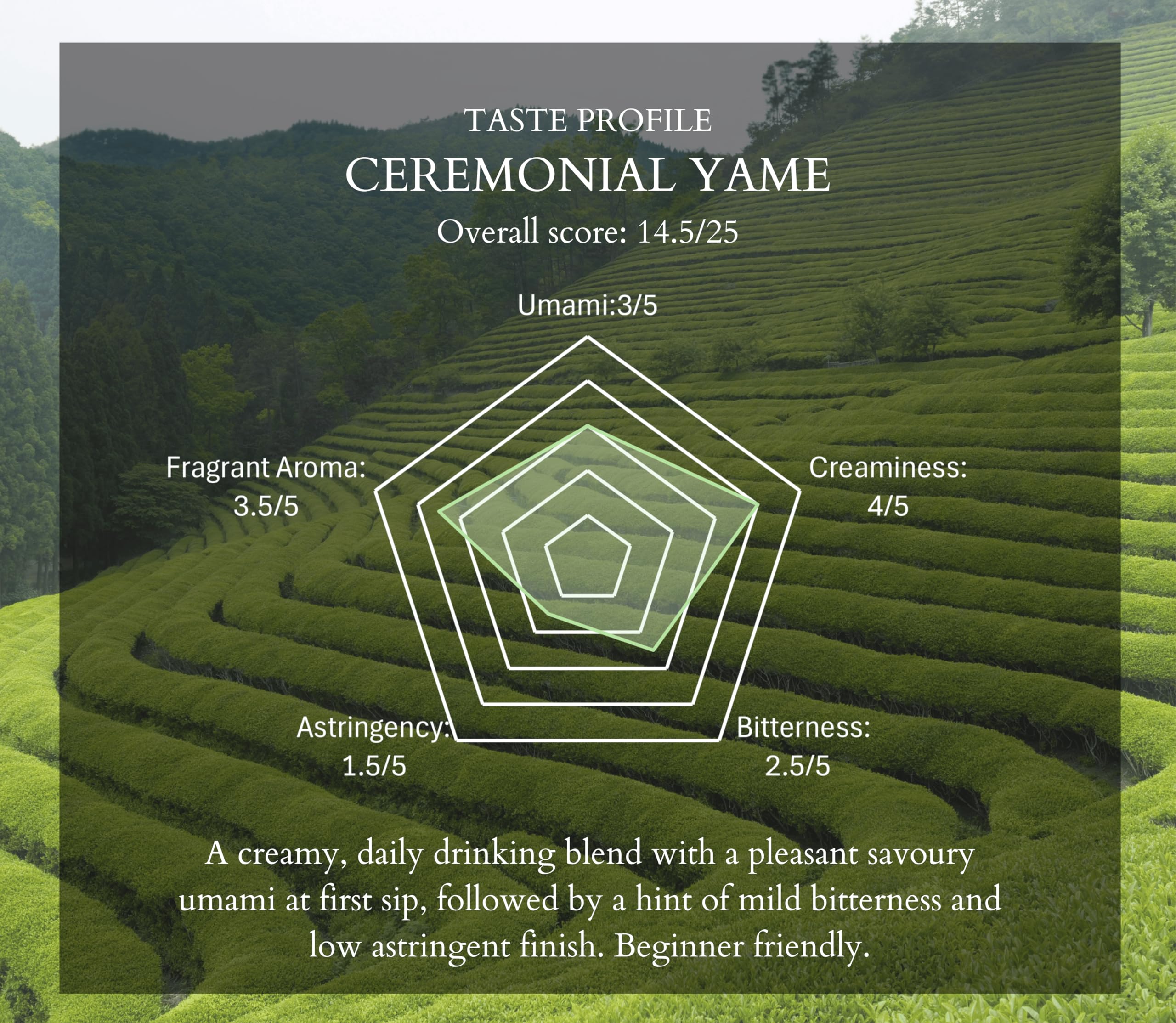Emerald Leaf – Ceremonial Matcha – First Harvest – 40g – Unsweetened no additives - Canadian Distribution - Ships Free Within Canada on Orders Above CAD $199 - Image 7