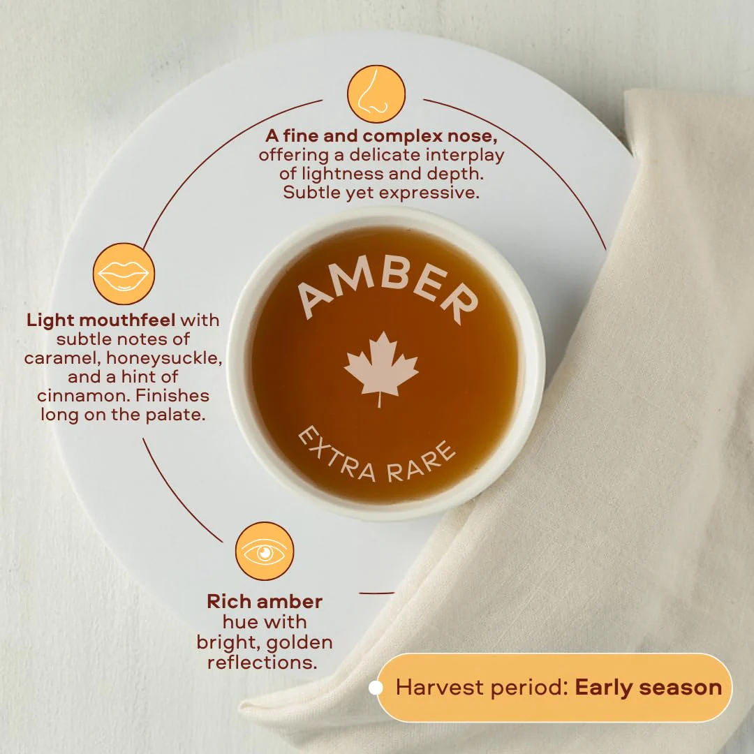 Escuminac – Maple Syrup – Extra Rare – 500 ml - Canadian Distribution - Ships Free Within Canada on Orders Above CAD $199 - Image 3