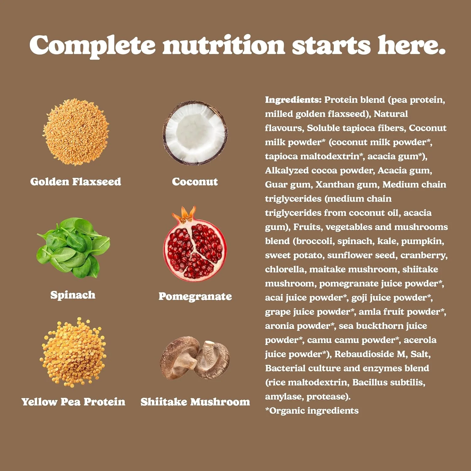 Good Protein - Chocolate Fudge - Vegan Plant-Based Protein Powder - 440g - Canadian Distribution - Ships Free Within Canada on Orders Above CAD $199 - Image 3