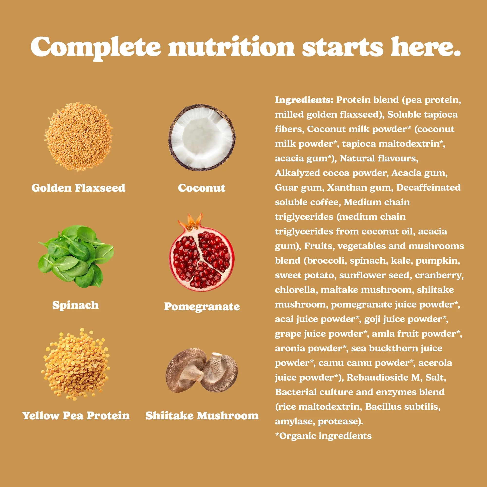 Good Protein – Mocha All-in-One Vegan Protein Powder – 880g - Canadian Distribution - Ships Free Within Canada on Orders Above CAD $199 - Image 2