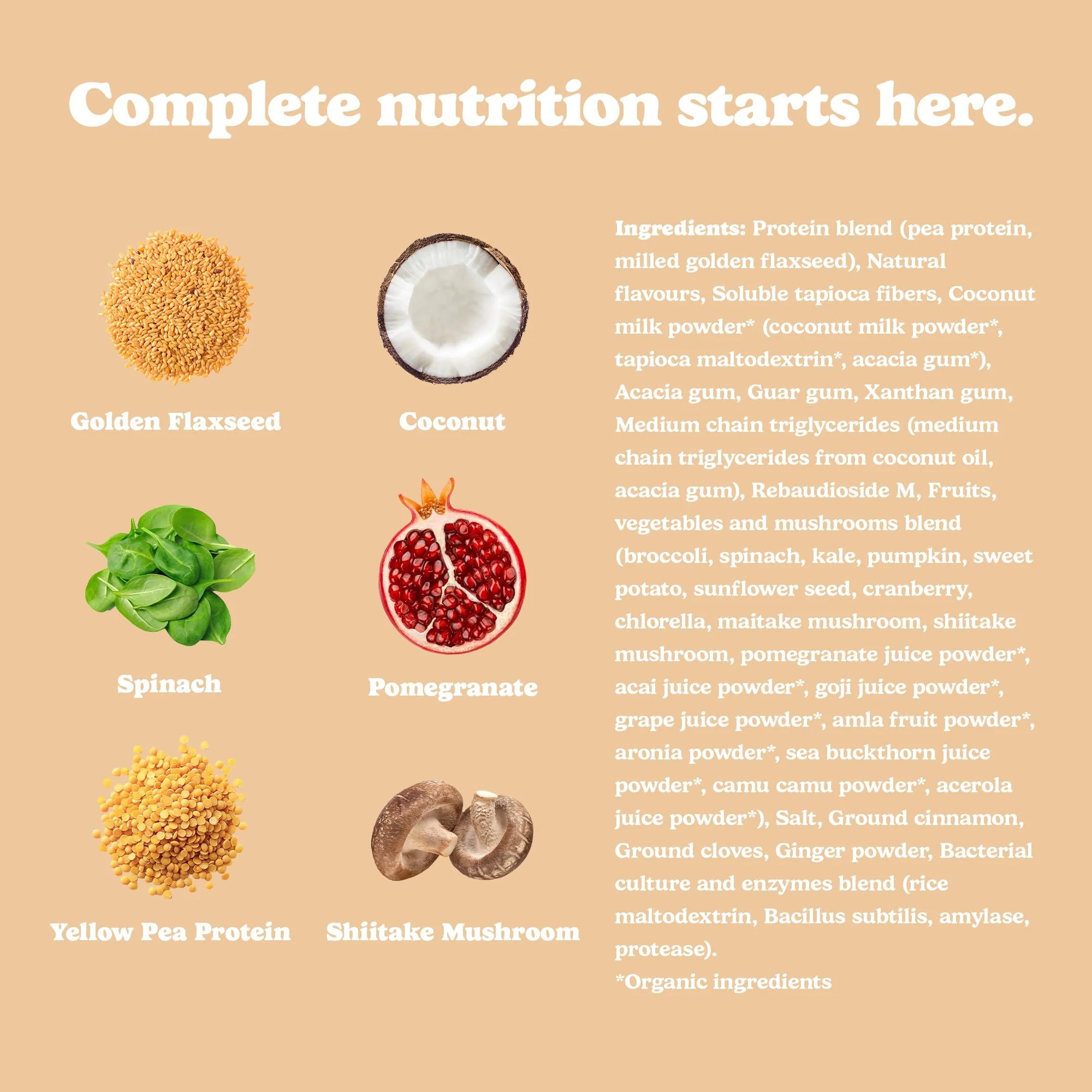 Good Protein – Vegan All-in-One Protein Shake – Chai Latte – 880g - Canadian Distribution - Ships Free Within Canada on Orders Above CAD $199 - Image 6