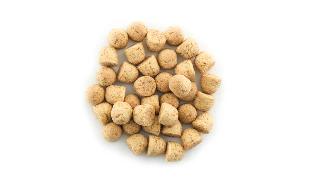Graham Cookie Gems- 25 LB Box - Premium Ice Cream and Dessert Toppings, Mix-Ins and Inclusions - Ships Free Within Canada on Orders Above CAD $199