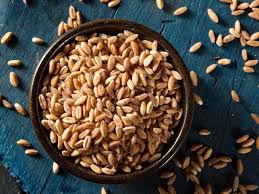 Grain Specialty Farro Kernels Whole - 3 x 1 kg - David Roberts - Restaurant and Foodservice Ingredients - Canadian Distribution - Ships Free Within Canada on Orders Above CAD $199