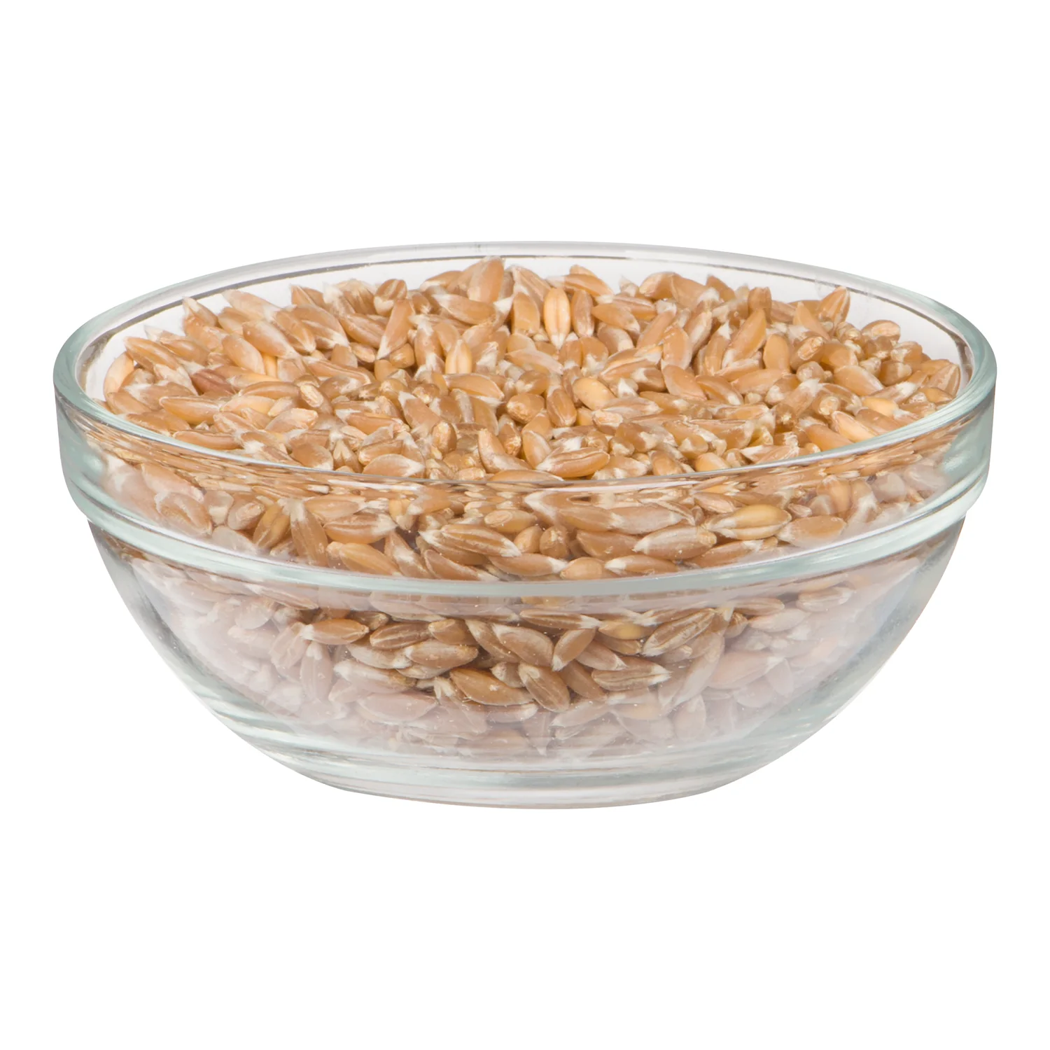 Grain Wheat Farro Organic - 1 x 2.27 kg - Shoal Lake Wild - Restaurant and Foodservice Ingredients - Canadian Distribution - Ships Free Within Canada on Orders Above CAD $199 - Image 2