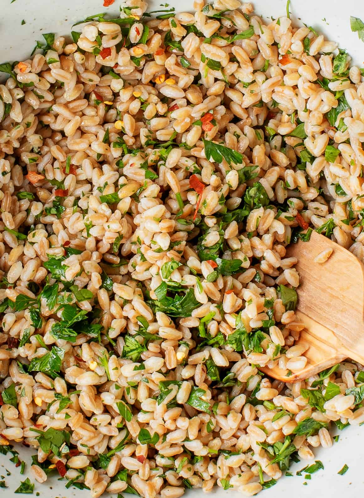 Grain Wheat Farro Organic - 1 x 2.27 kg - Shoal Lake Wild - Restaurant and Foodservice Ingredients - Canadian Distribution - Ships Free Within Canada on Orders Above CAD $199 - Image 3