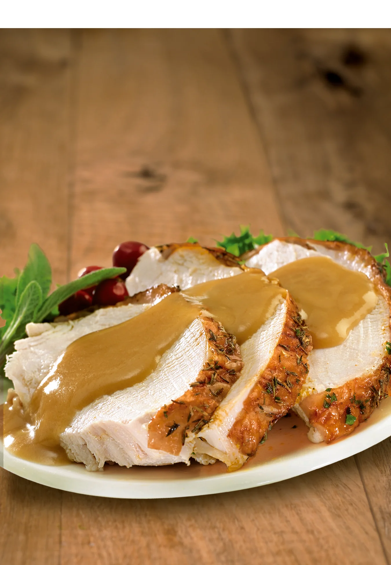 Gravy Turkey Instant - 6 x 475 g - Knorr Swiss - Restaurant and Foodservice Ingredients - Canadian Distribution - Ships Free Within Canada on Orders Above CAD $199 - Image 3