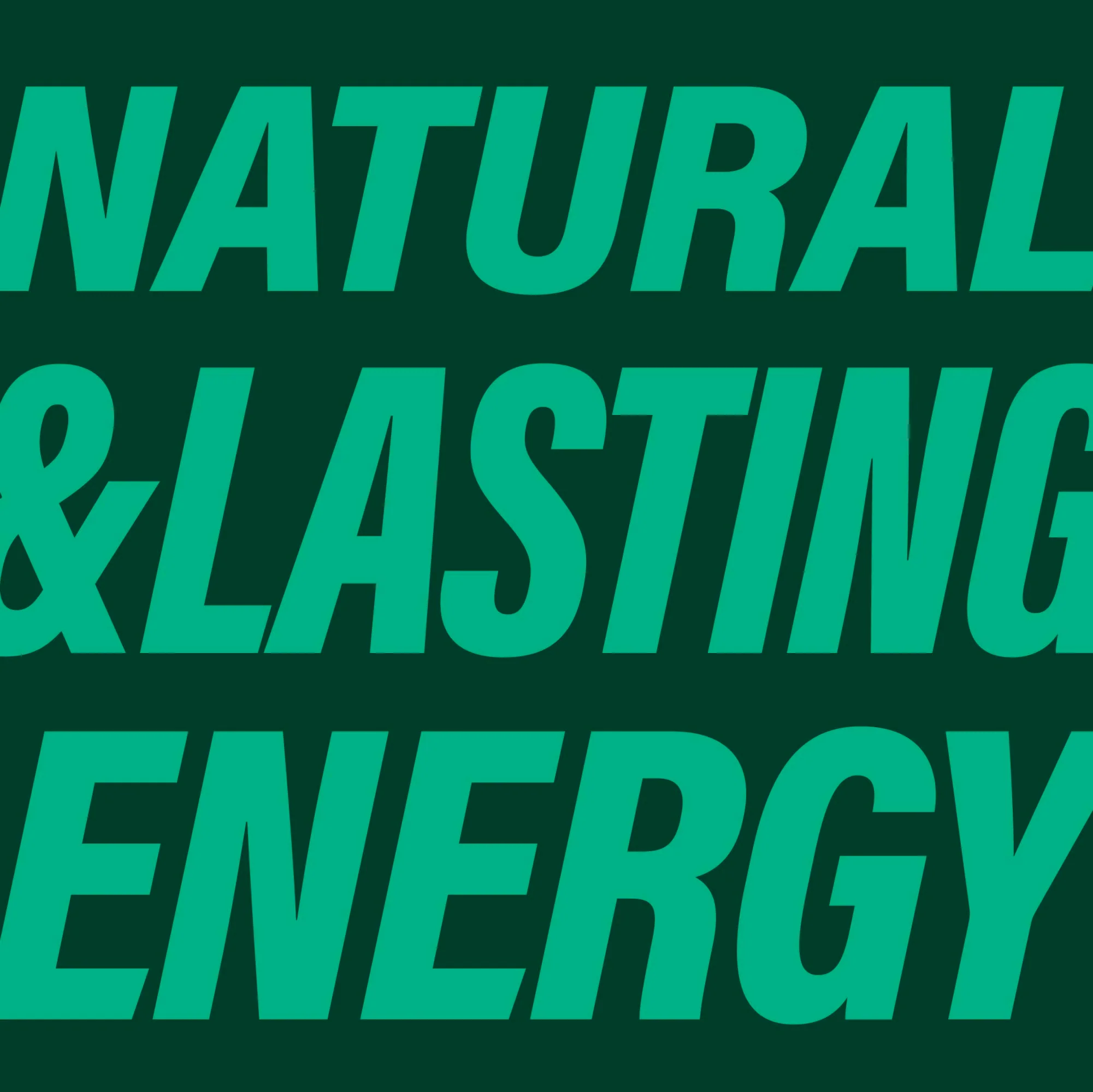 GURU – Matcha Energy Drink – Lemon Ginger – 24 × 355 ml - Canadian Distribution - Ships Free Within Canada on Orders Above CAD $199 - Image 5