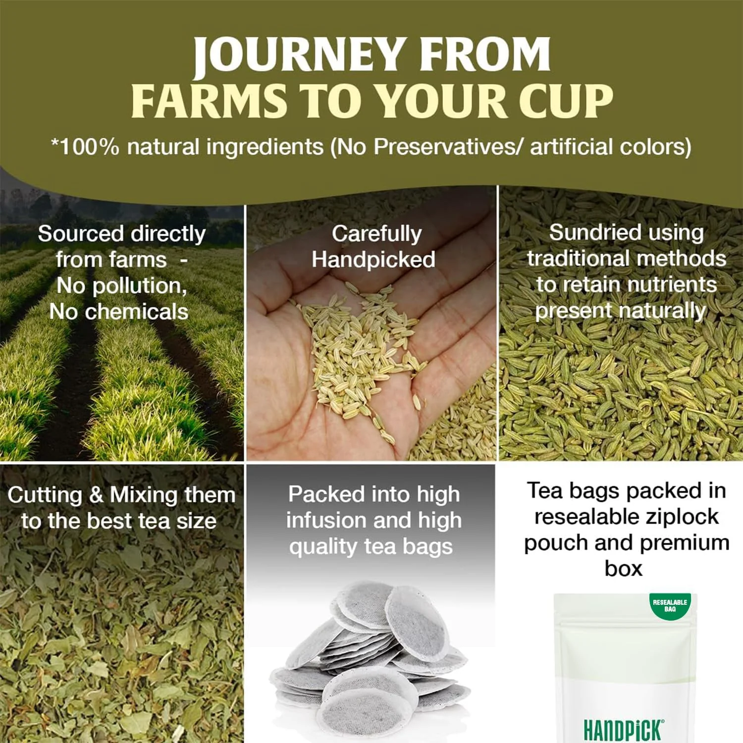 HANDPICK Fennel Tea Bags - 100 Count Herbal Tea, Caffeine-Free, Pure Whole Fennel Seeds - Canadian Distribution - Ships Free Within Canada on Orders Above CAD $199 - Image 5