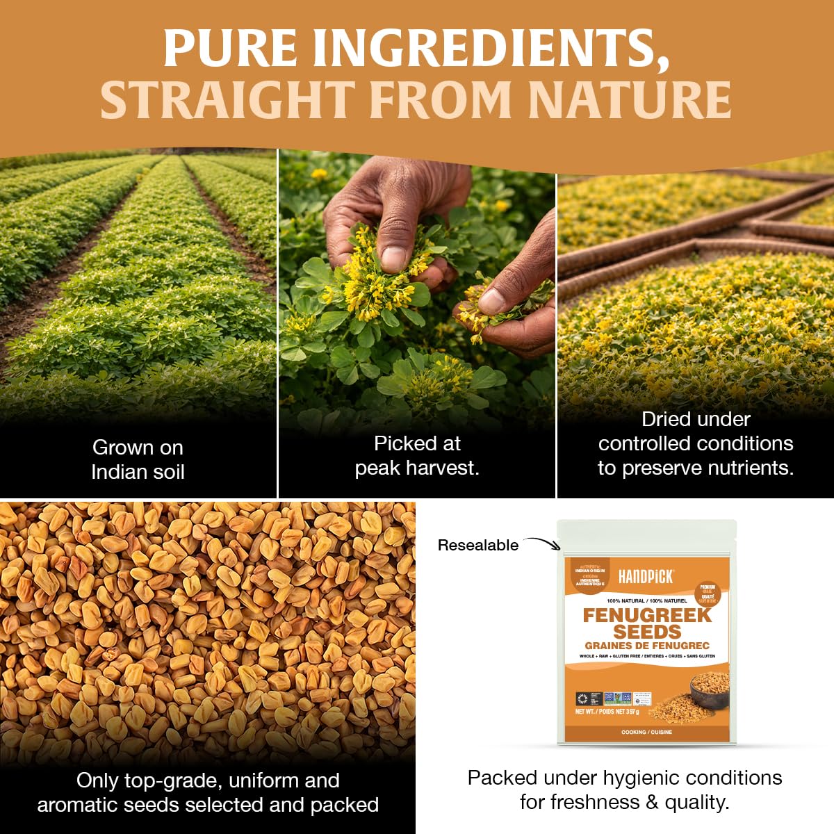HANDPICK Fenugreek Seeds 2 x 14oz - Canadian Distribution - Ships Free Within Canada on Orders Above CAD $199 - Image 6