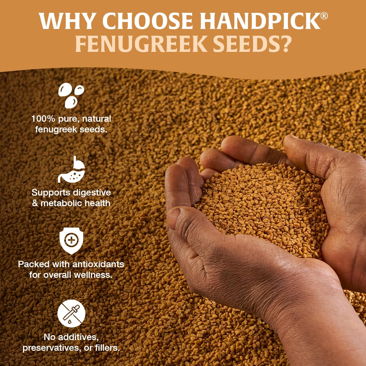 HANDPICK Fenugreek Seeds 2 x 14oz - Canadian Distribution - Ships Free Within Canada on Orders Above CAD $199 - Image 7