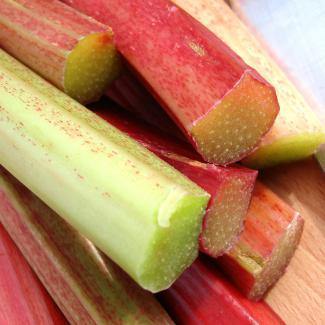 LES VERGERS BOIRON Frozen Fruit Puree – Rhubarb (1kg) - Canadian Distribution - Ships Free Within Canada on Orders Above CAD $199 - Image 4
