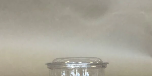 Lid for 16oz. PLA Floral Salad Bowls 450cs BPI - Disposable Take Away Food Packaging - Canadian Distribution