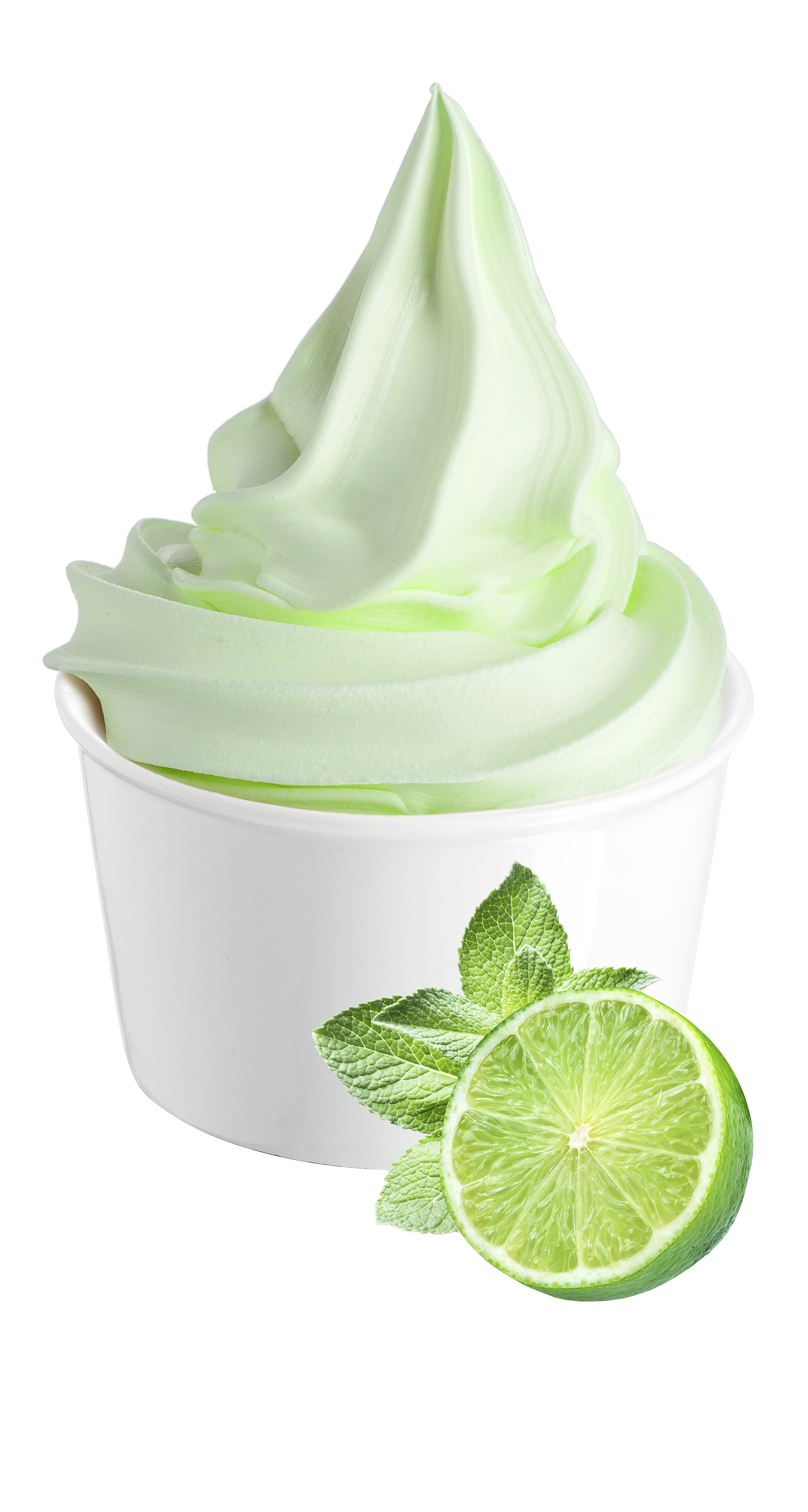 Lime Ready Fruit - Ready Base for Soft Serve and Gelato - Case of 6 x 1.25 KG bags - Rubicone Canada - Ships Free Within Canada on Orders Above CAD $199 - Image 4