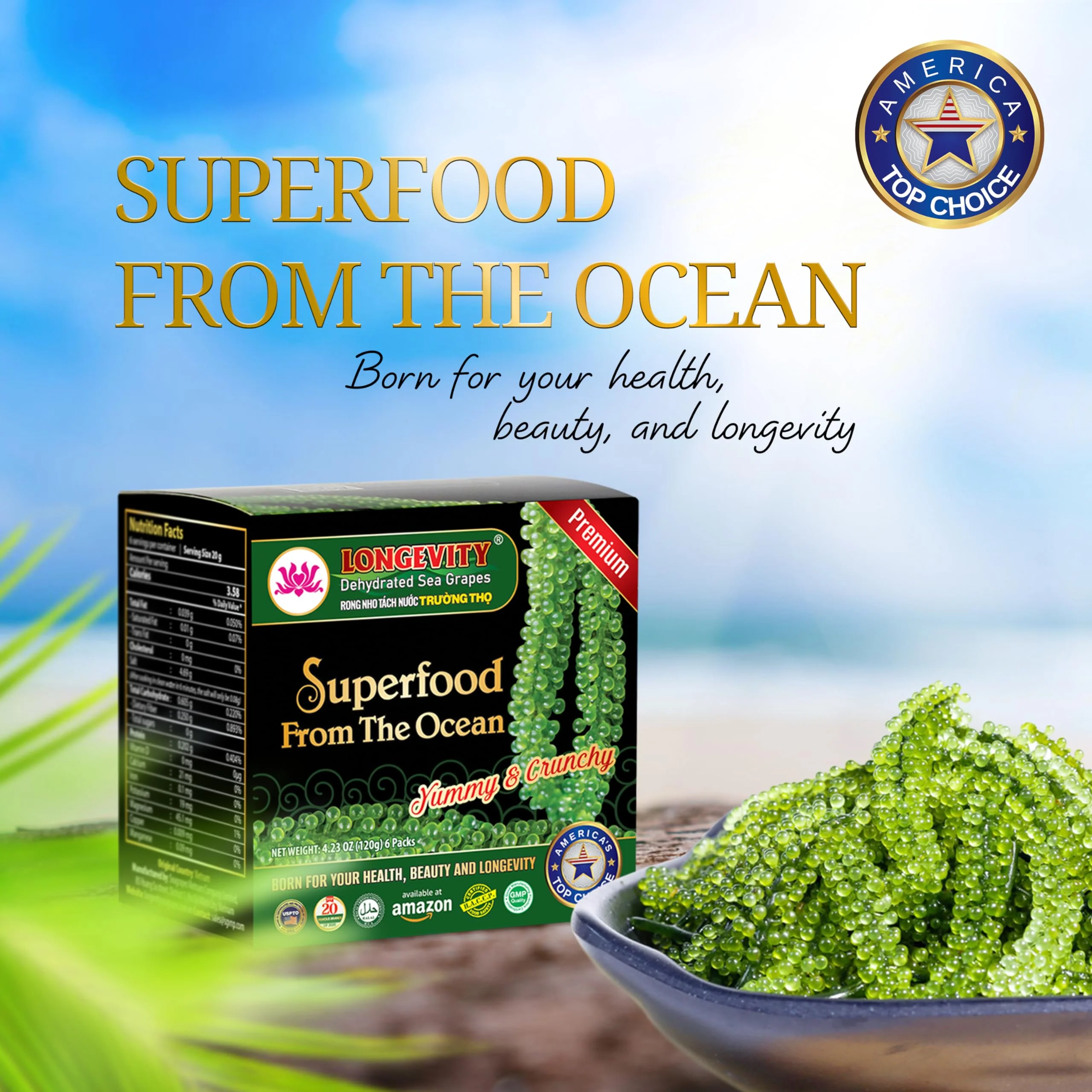 Longevity – Sea Grapes Umibudo Green Caviar – Original – 6 Pack – Dehydrated saltwater marinated - Canadian Distribution - Ships Free Within Canada on Orders Above CAD $199 - Image 5