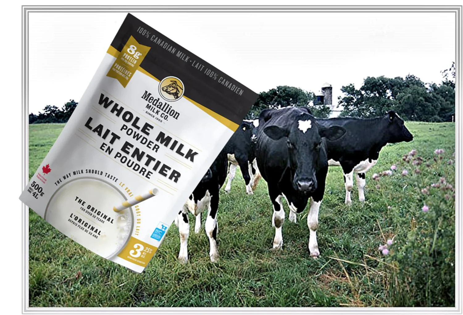 Medallion Whole Milk Powder 500g – Canadian Dairy, Antibiotic-Free, No rbST or rBGH - Canadian Distribution - Ships Free Within Canada on Orders Above CAD $199 - Image 6
