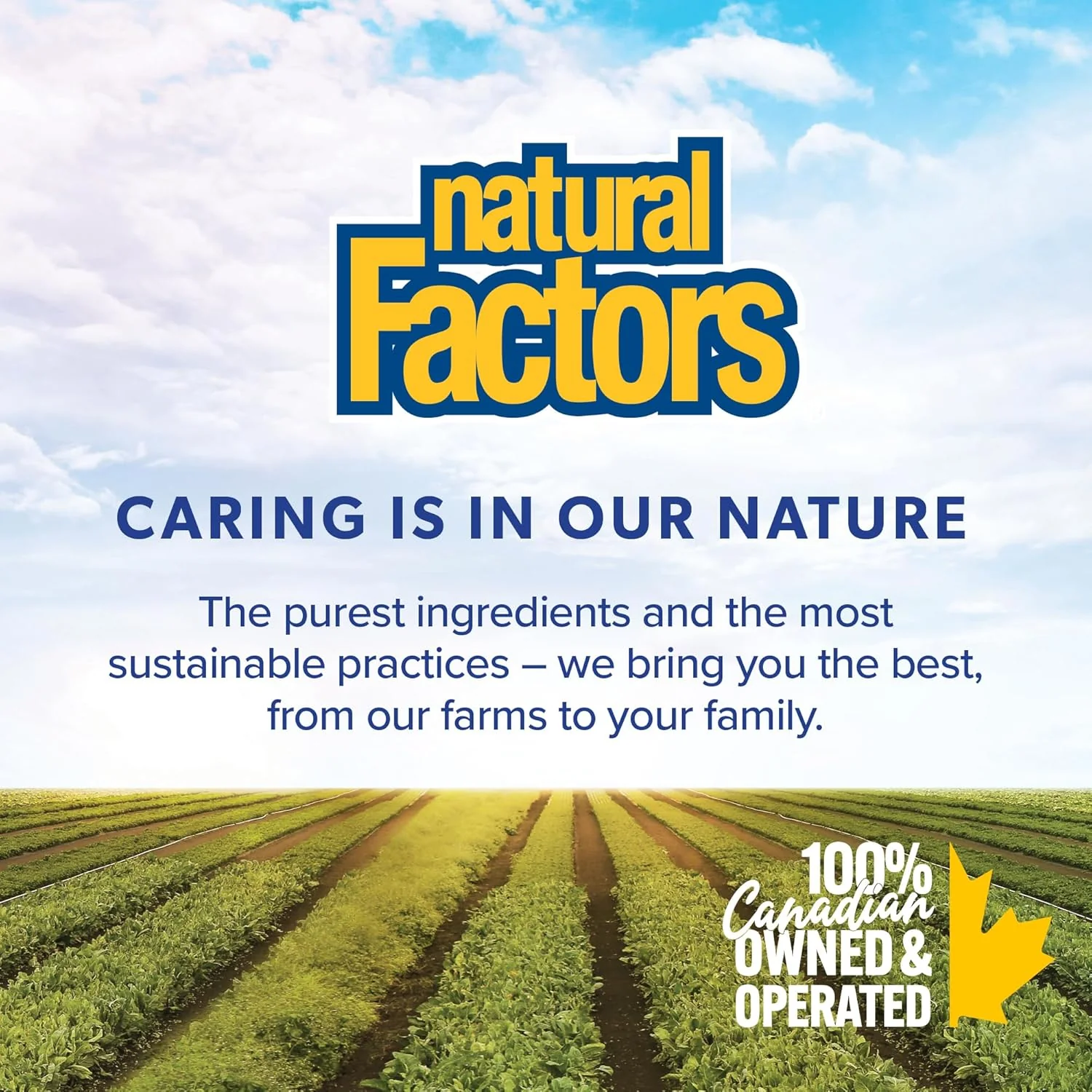 Natural Factors – NAC – 600 mg – 180 Capsules - Image 3
