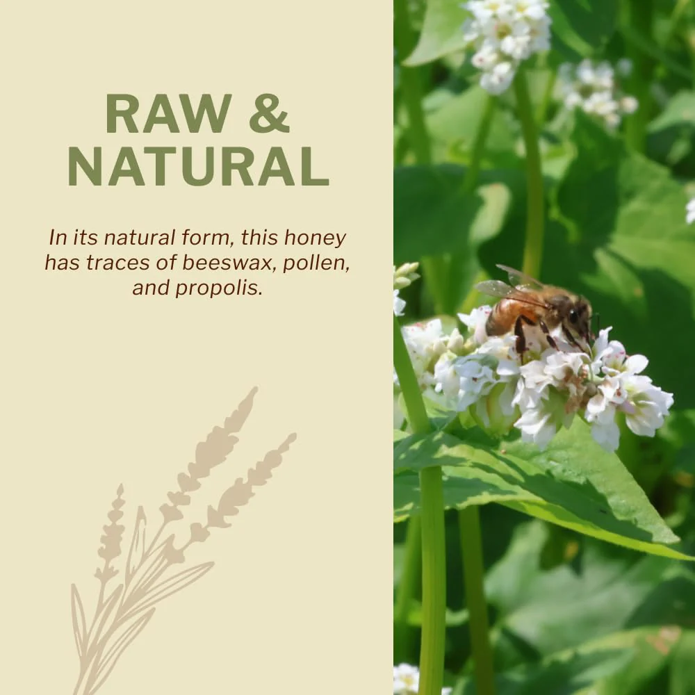 Oneroot – Canadian Raw Buckwheat Honey – Original – 1kg – High antioxidants - Canadian Distribution - Ships Free Within Canada on Orders Above CAD $199 - Image 2