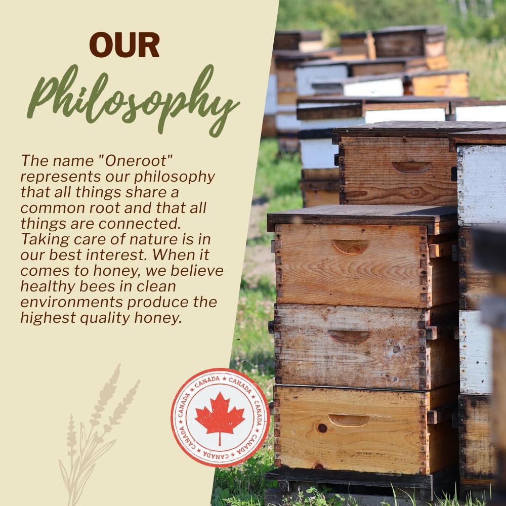Oneroot – Canadian Raw Buckwheat Honey – Original – 1kg – High antioxidants - Canadian Distribution - Ships Free Within Canada on Orders Above CAD $199 - Image 7