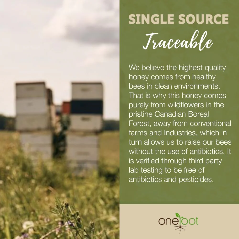ONEROOT – Raw Wildflower Honey – Unpasteurized Creamed – 3kg - Canadian Distribution - Ships Free Within Canada on Orders Above CAD $199 - Image 3