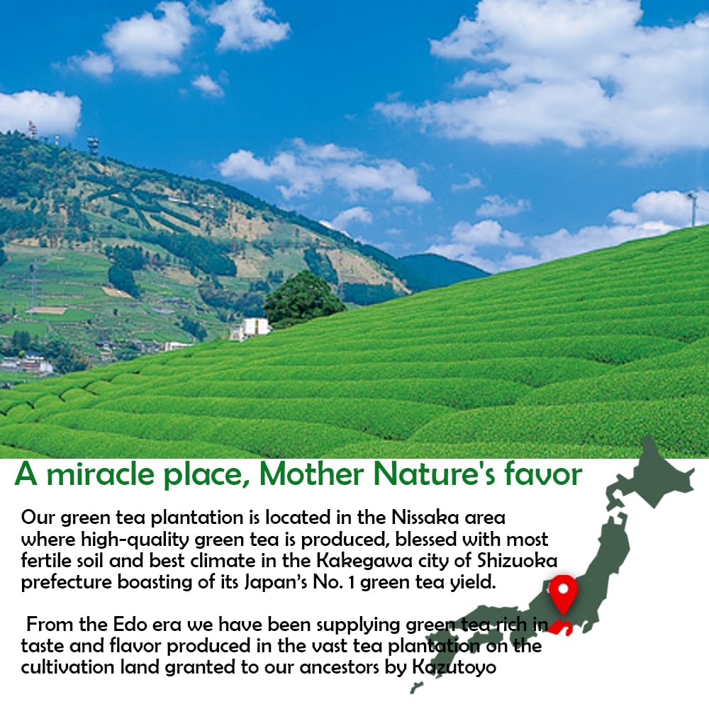 Organic Matcha – Ceremonial Grade – First Harvest – 100g – Made in Japan - Canadian Distribution - Ships Free Within Canada on Orders Above CAD $199 - Image 3