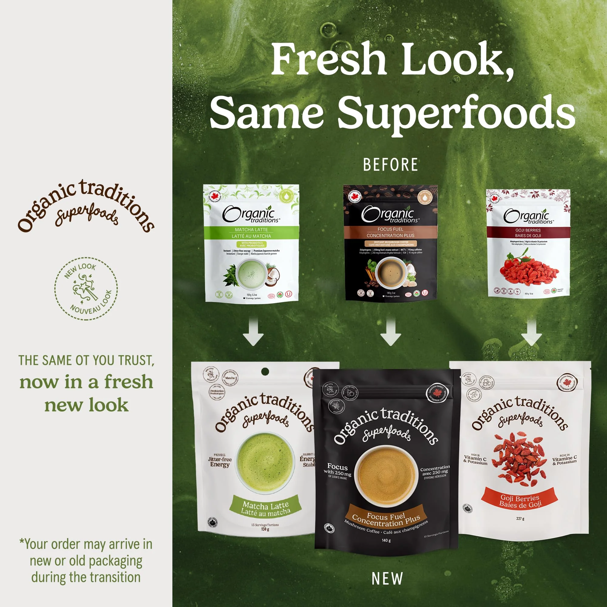 Organic Traditions – Focus Fuel Mushroom Coffee – Instant Blend – 280g - Canadian Distribution - Ships Free Within Canada on Orders Above CAD $199 - Image 6