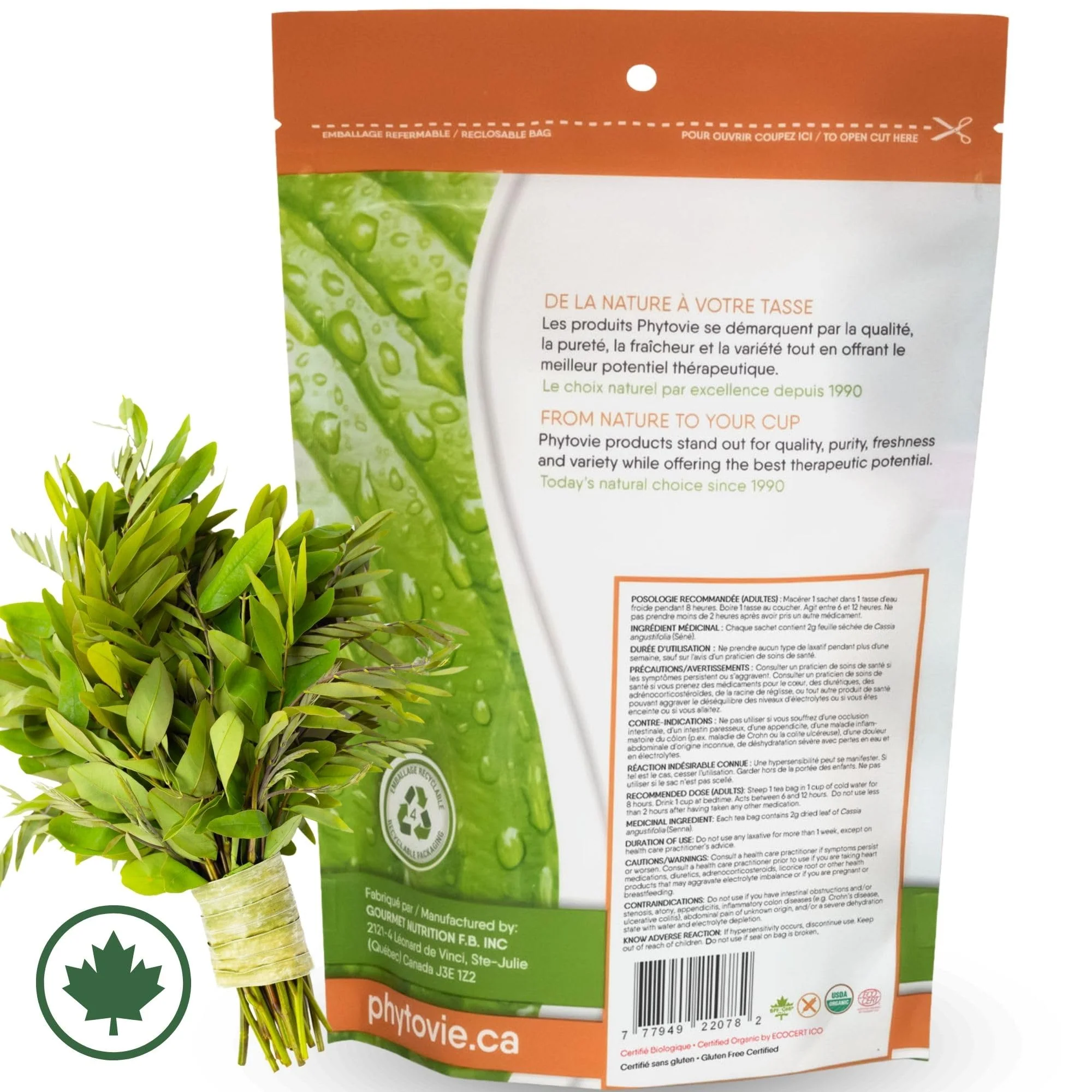 PHYTOVIE – Organic Senna Detox Tea – Senna Herbal Blend – 50 Tea Bags – Natural laxative - Canadian Distribution - Ships Free Within Canada on Orders Above CAD $199 - Image 2