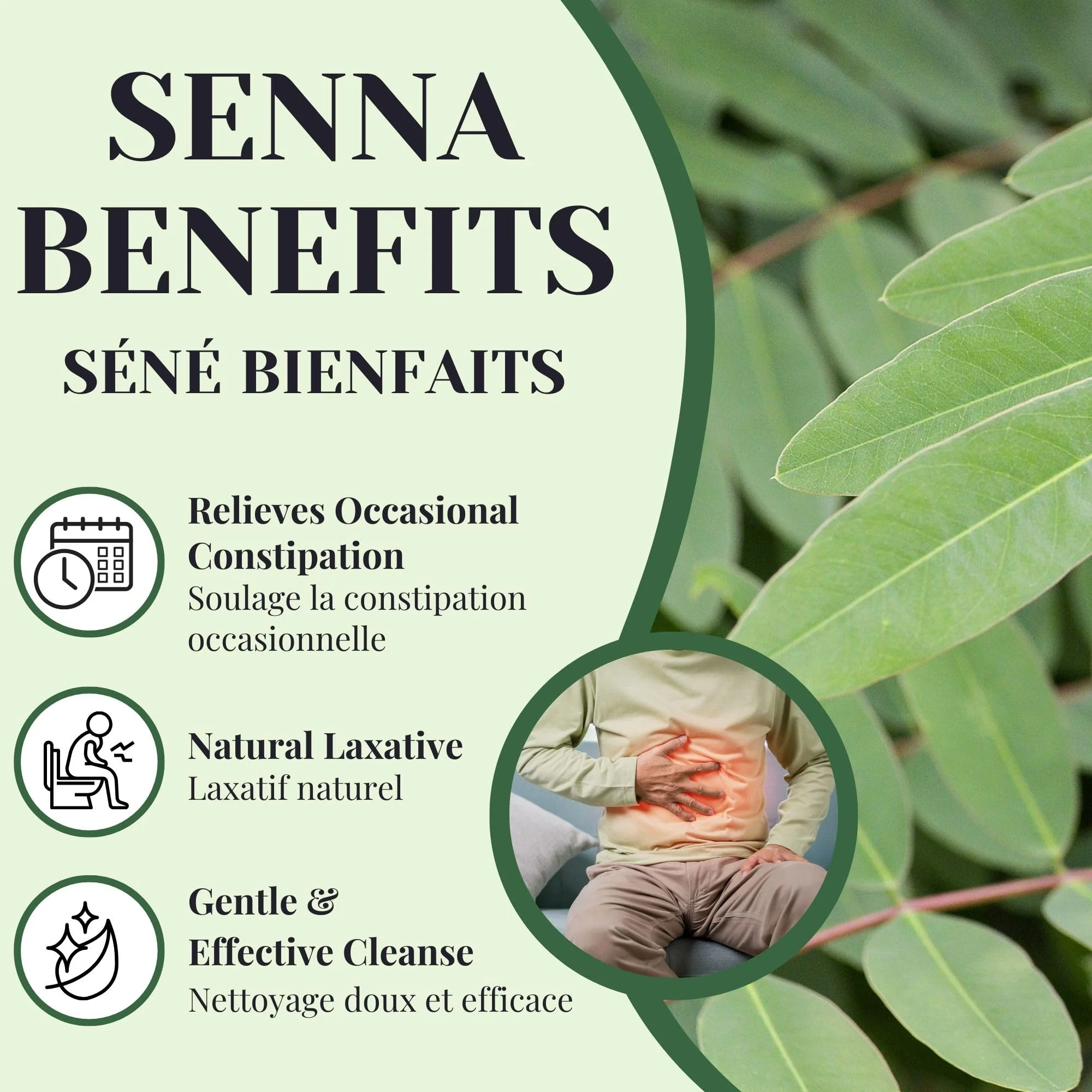 PHYTOVIE – Organic Senna Detox Tea – Senna Herbal Blend – 50 Tea Bags – Natural laxative - Canadian Distribution - Ships Free Within Canada on Orders Above CAD $199 - Image 7