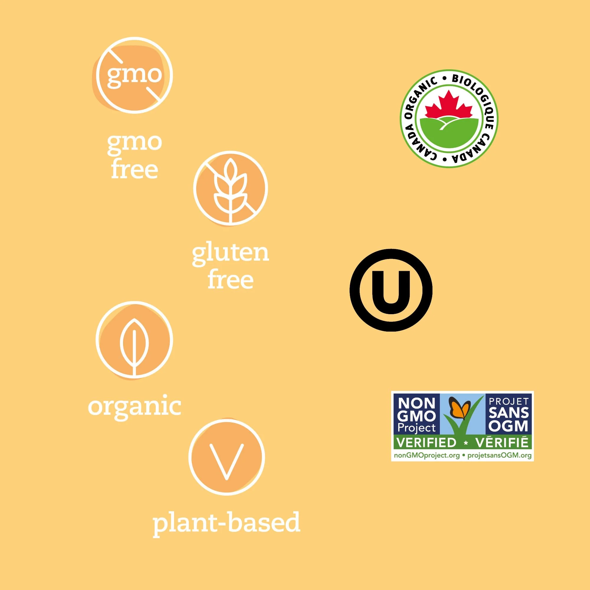 Prana Organic Medjool Dates | Premium Whole Fruit Snack | High in Fibre | Non-GMO, Gluten-Free, Vegan | 2 x 250g - Canadian Distribution - Ships Free Within Canada on Orders Above CAD $199 - Image 2
