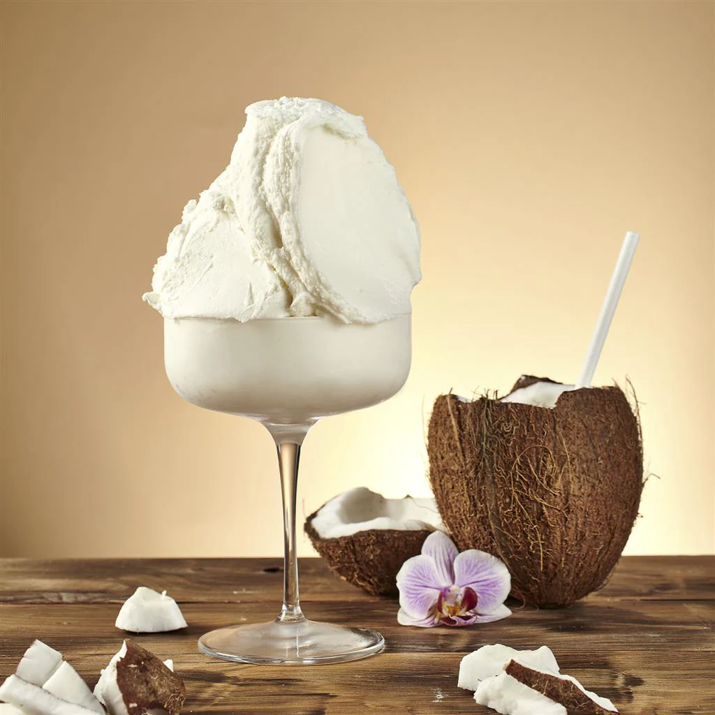 Pregel - Tropical Coconut Sorbetto (10 x 1.35 kg Case) - Canadian Distribution - Ships Free Within Canada on Orders Above CAD $199