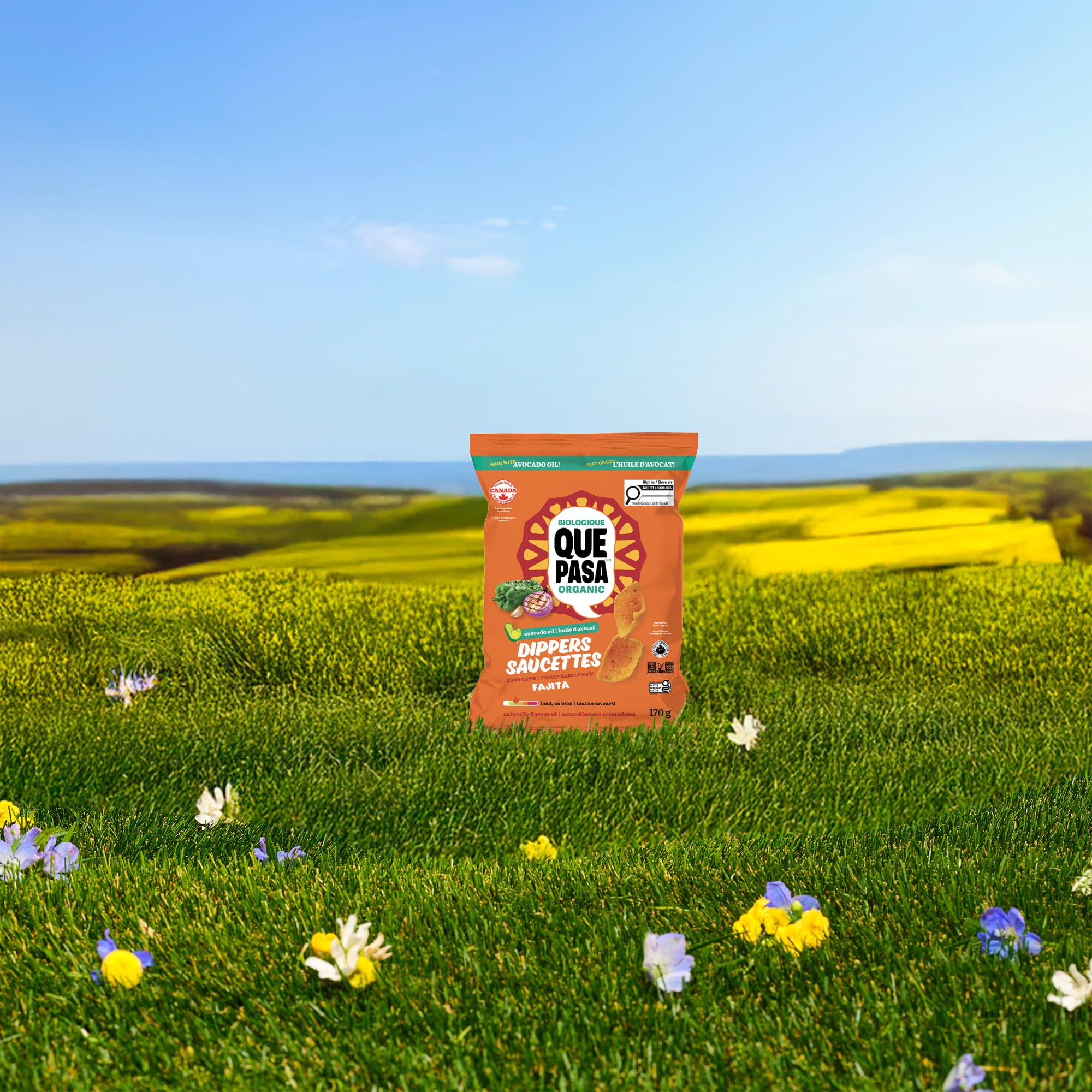 Que Pasa Organic Fajita Dippers Tortilla Chips - 12 Pack (170g Each) | Gluten Free & Non-GMO - Canadian Distribution - Ships Free Within Canada on Orders Above CAD $199 - Image 4
