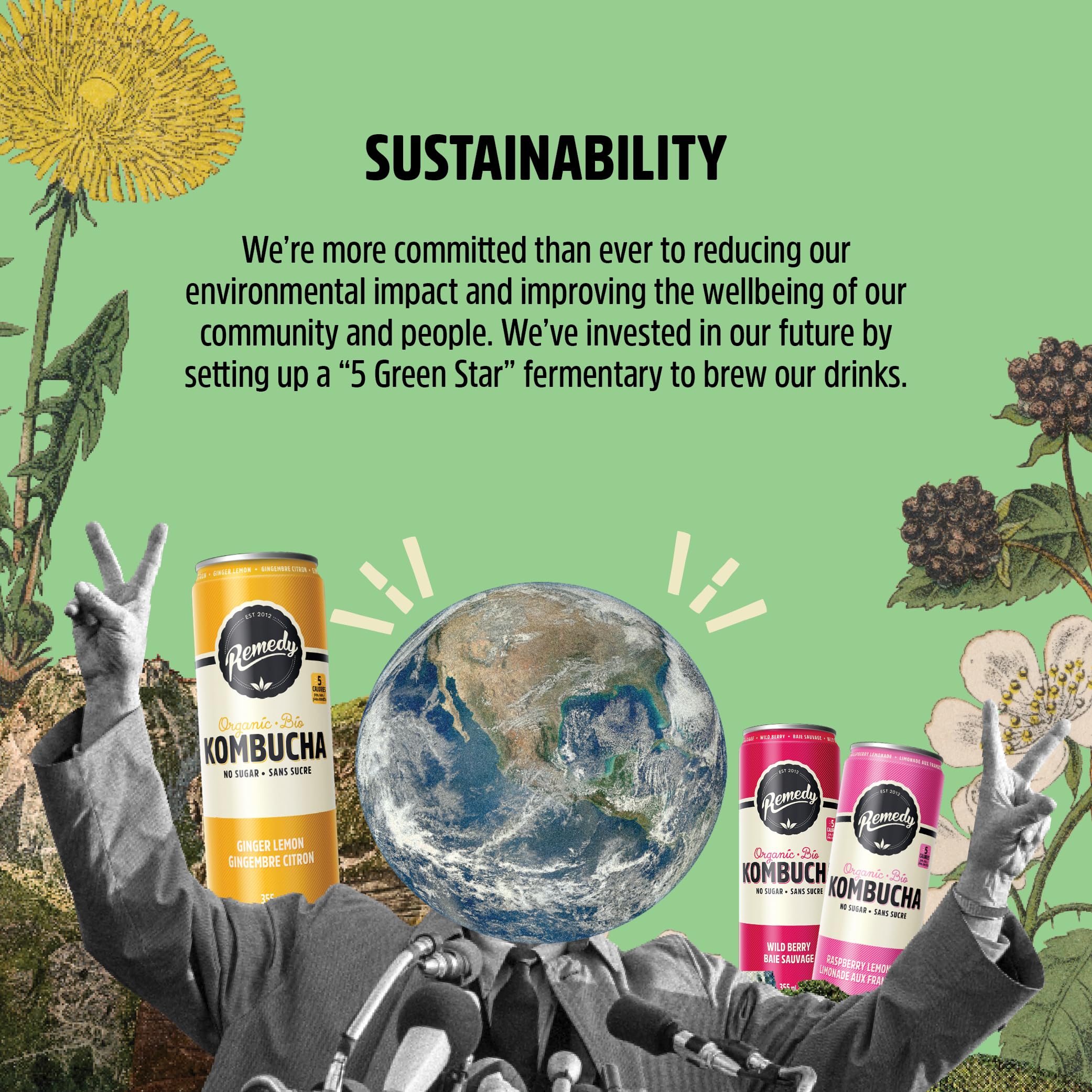Remedy – Kombucha – Mango Passion – 24 × 355mL – Sugar free - Canadian Distribution - Ships Free Within Canada on Orders Above CAD $199 - Image 3