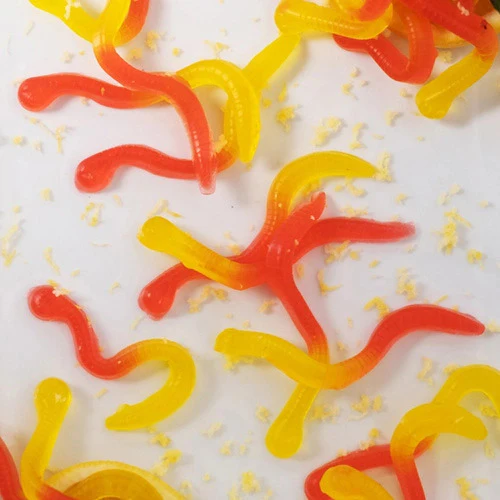 Silicon Gummy Worms Mold (2 pack) - Candy Making - LorAnn Oils - Canadian Distribution - Ships Free Within Canada on Orders Above CAD $199 - Image 3