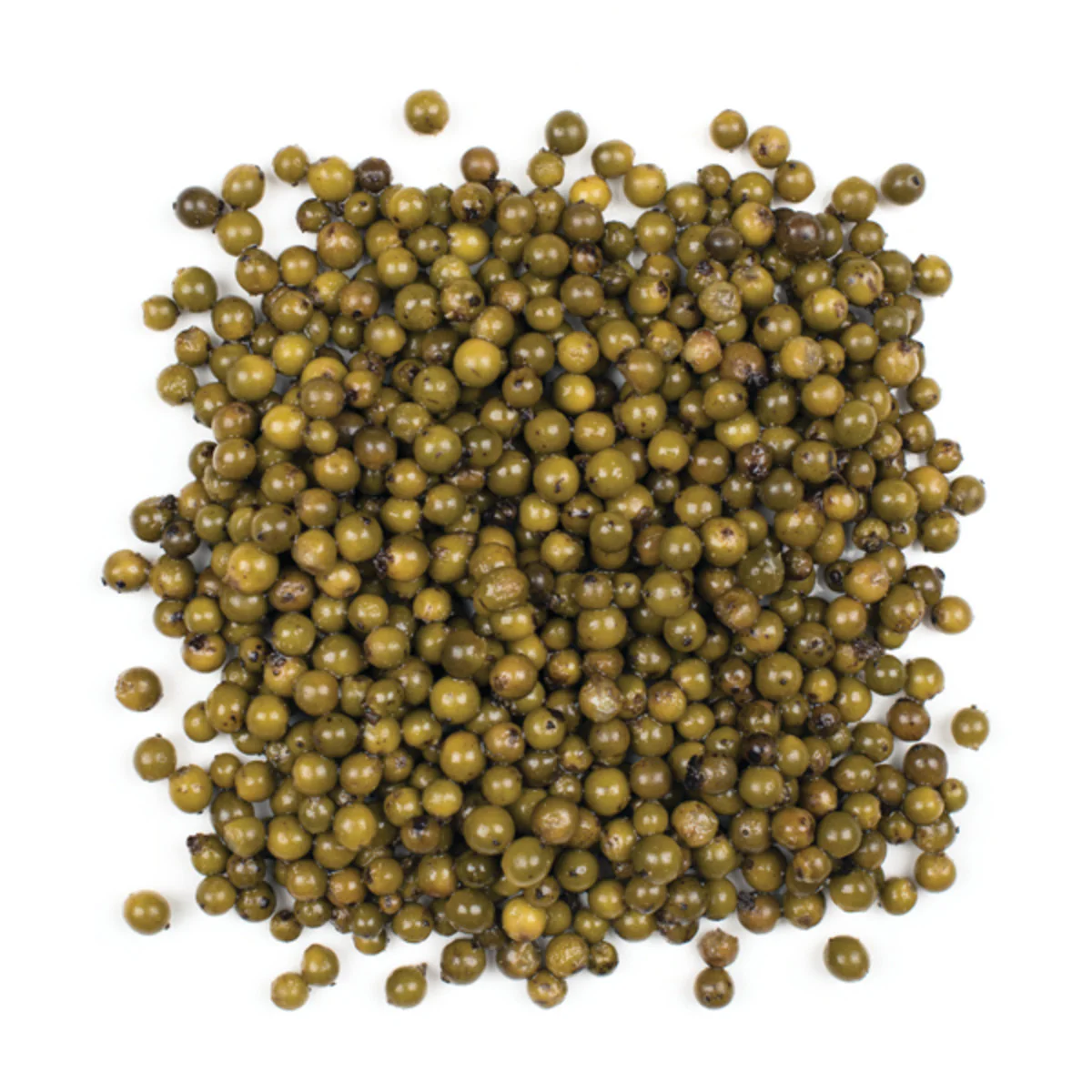 Spice Peppercorn Green in Brine - (Case = 24 x 3.5 oz) - American Roland - Restaurant and Foodservice Ingredients - Canadian Distribution - Ships Free Within Canada on Orders Above CAD $199