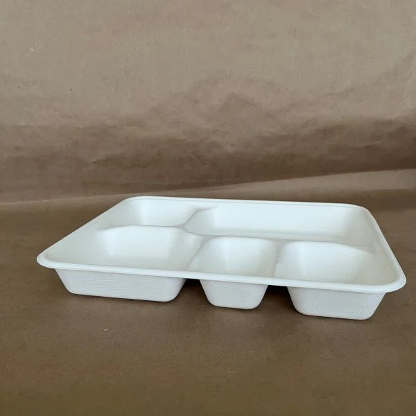 Sugarcane 5 Compartment Tray 200cs - Disposable Take Away Food Packaging - Canadian Distribution - Image 2