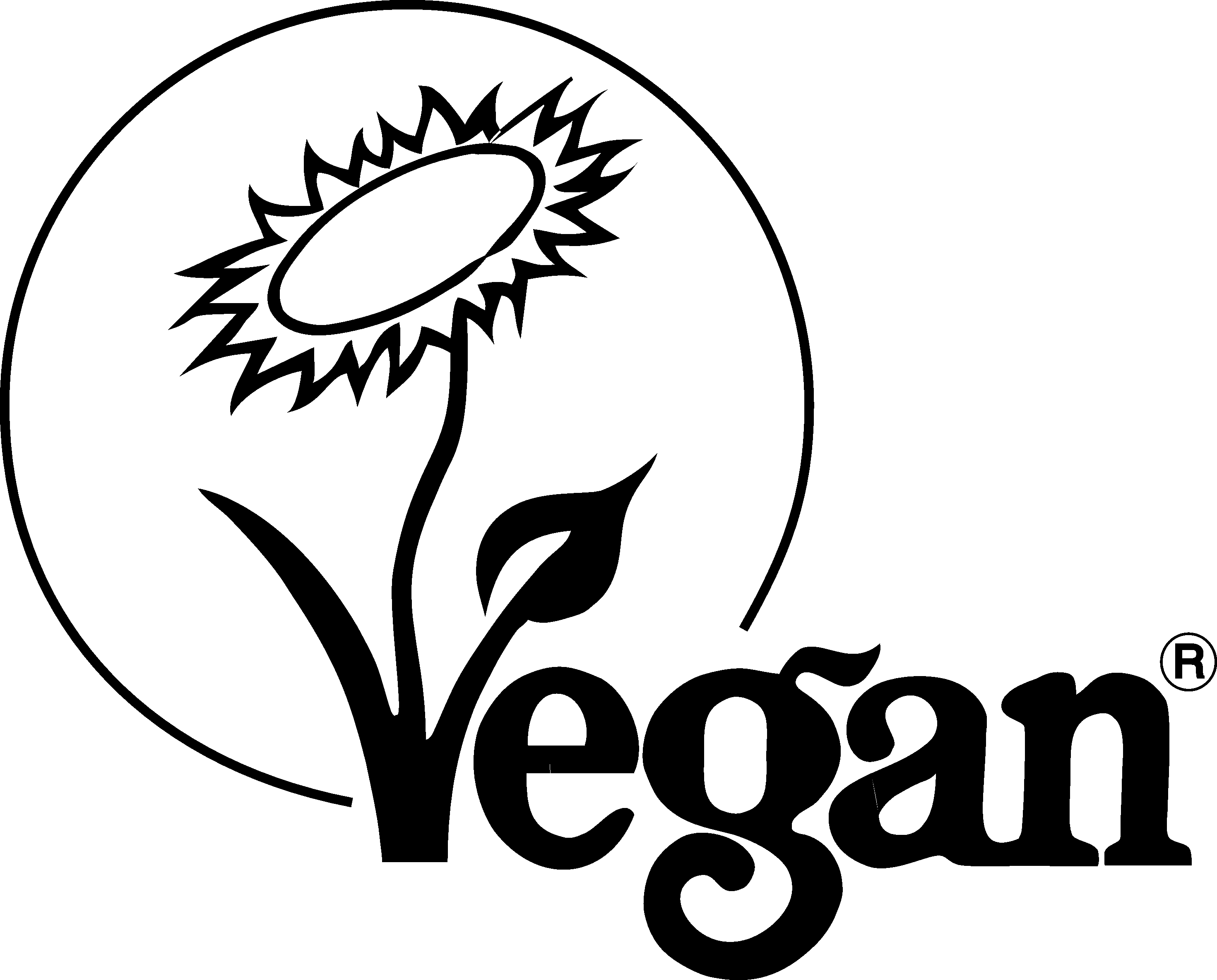 Sweetbird Purees - Mango - 6 x 1 L Case - Vegan - Canadian Distribution - Ships Free Within Canada on Orders Above CAD $199 - Image 3