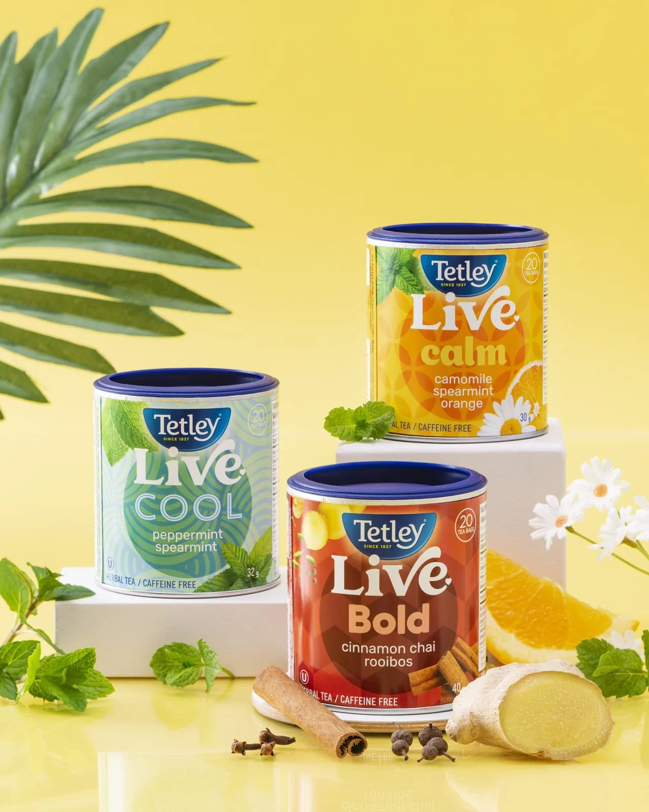 Tetley Live Cool Peppermint & Spearmint Herbal Tea – 6 Pack with 120 Tea Bags, Naturally Caffeine Free - Canadian Distribution - Ships Free Within Canada on Orders Above CAD $199 - Image 2