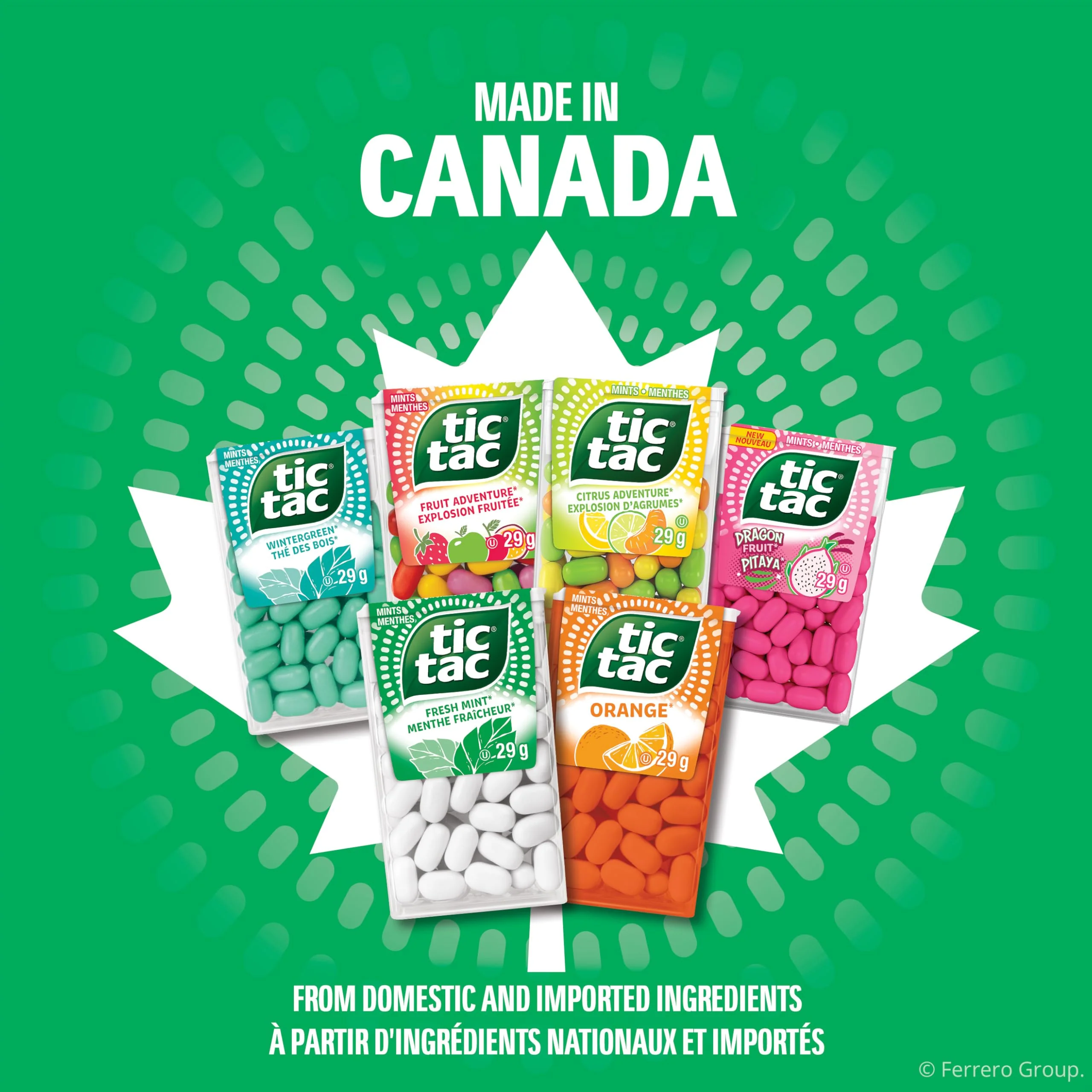 TIC TAC Dragon Fruit Mints – 60 Count Bulk Pack (12 × 29g Singles) - Canadian Distribution - Ships Free Within Canada on Orders Above CAD $199 - Image 2