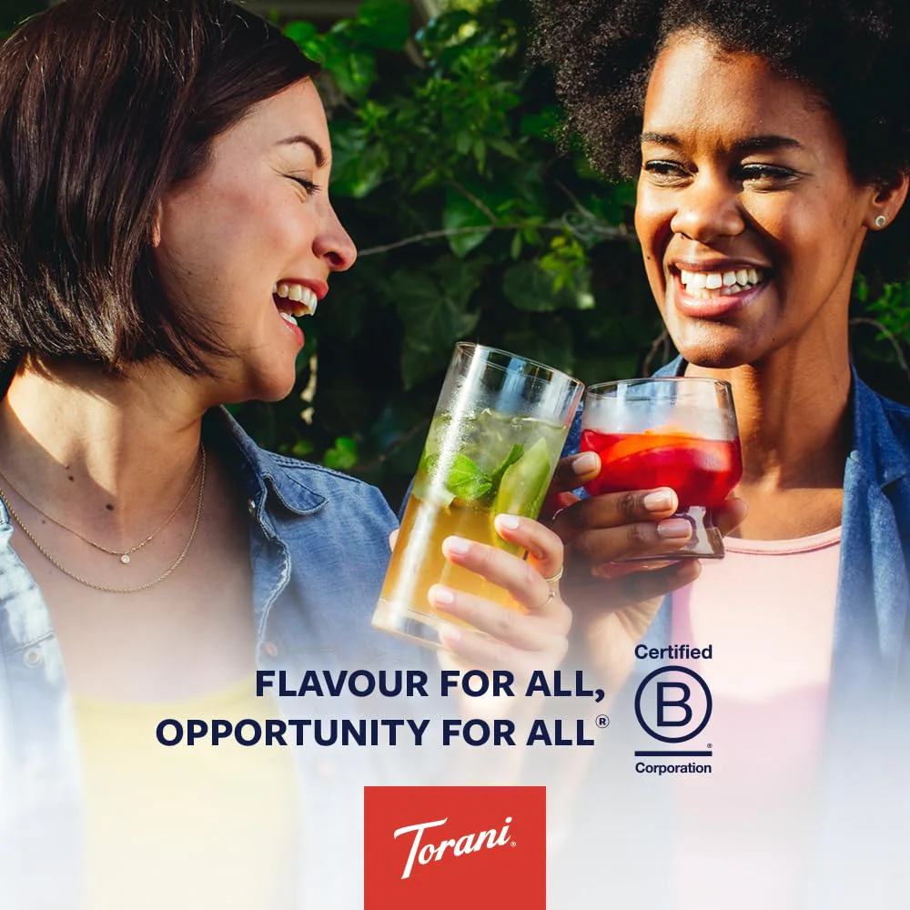 Torani Sugar-Free Classic Hazelnut Syrup – 4-Pack (750ml Bottles) - Canadian Distribution - Ships Free Within Canada on Orders Above CAD $199 - Image 3