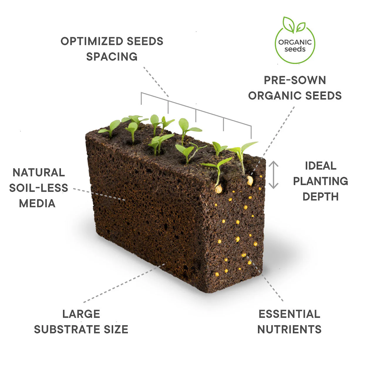 VERITABLE Lingot, Organic Marjoram - Canadian Distribution - Ships Free Within Canada on Orders Above CAD $199 - Image 2
